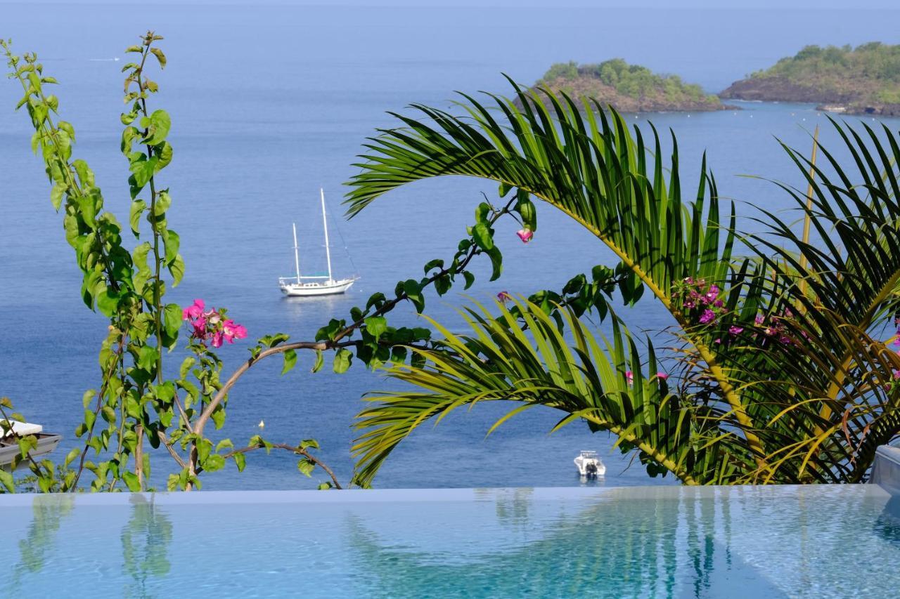 Sunset Palm - Villa Creole Avec Piscine Face Au Coucher De Soleil Et A La Reserve Cousteau Bouillante Buitenkant foto