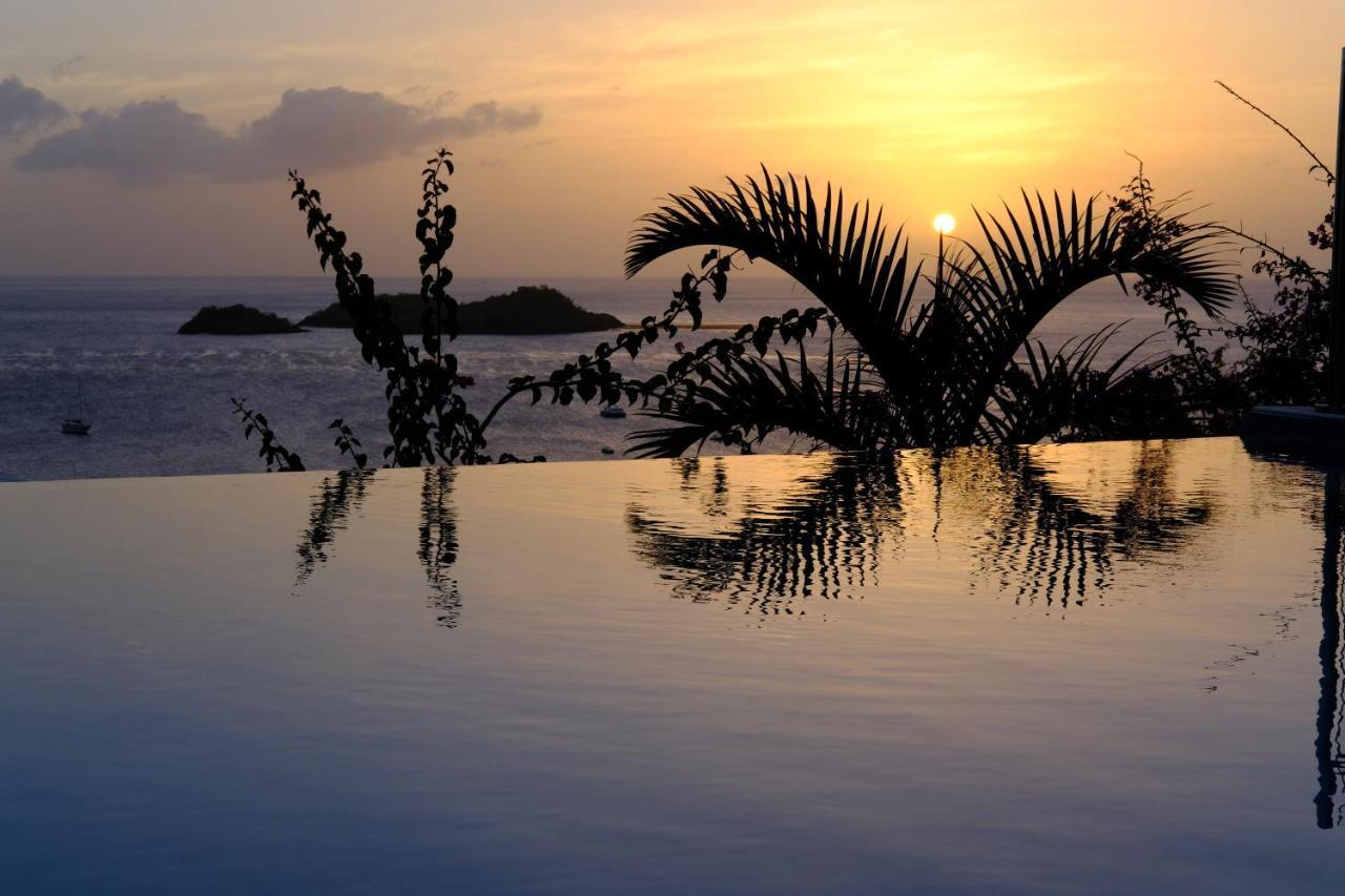 Sunset Palm - Villa Creole Avec Piscine Face Au Coucher De Soleil Et A La Reserve Cousteau Bouillante Buitenkant foto